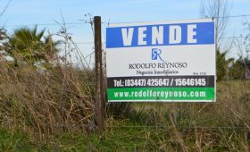 1.5 ha. en Villa Elisa